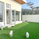 위클라드 자쿠지 펜션 이미지