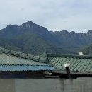 여우목로 이미지