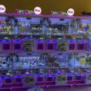 레인보우 뽑기샵 이미지