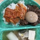 (주)조아렌트카 | 2025[주간일기]05.26~06.01|사진 폭탄 해삐 제주💙