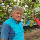 양촌리.동양촌 이미지