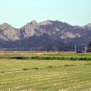 버스정류장 05-219 이미지