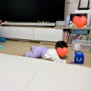 머리쿵! 방지해주는 아가드 베베콩 오가닉 아기헬멧 내돈내산 추천 후기⛑️✨