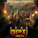 영화야채