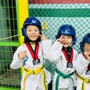 대호태권도 이미지