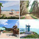 고흥숲속의바다 이미지