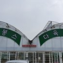 다봉스다육 이미지