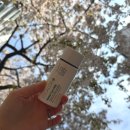 룰루PC | 발림성 좋은 무기자차 선크림 랩노 시칼로에 릴리프 선밀크 후기