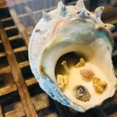 소라게스트하우스 이미지