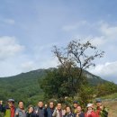 천태산장 이미지