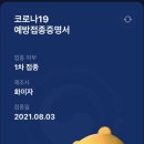 하루만에 코로나 잔여백신 성공! 후기, 꿀팁 (매크로 없이 예약하기)