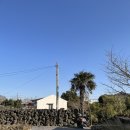 월림공간 이미지