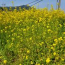 대평감산로 이미지