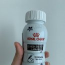 아이시유 | 로얄캐닌 GI high energy liquid - 가스트로 하이 에너지독 내돈내산 후기