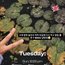 함양금주수산