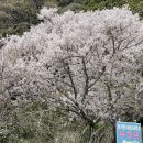 예래 본향당 이미지