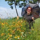 만경강 사수정 이미지