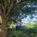 산림욕장 진입로 이미지