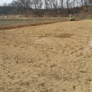 재식농장 이미지