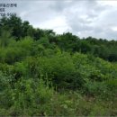 금마면 고정마을회관 이미지