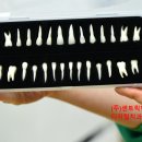 솔루션치과기공소 이미지