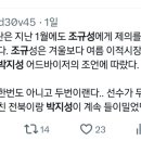 조규성 박지성 글 다 억까였던거야? 이미지