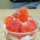 요거 프레소 이미지