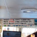 동영호 | 외도 유람선 정리 - 구조라 유람선 탑승 후기