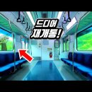 🚈 80년만에 재개통! '최북단 직통 열차' 타고 편하게 여행하세요 | 📸 외국인들이 가장 놀라는 이미지