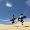 백마농장 | [호주 시드니] 당일투어 추천 &amp; 솔직후기 : 와이너리-포트스테판 -오크베일 동물원