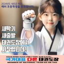 국가대표다온태권도장 이미지