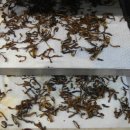 약수정한의원 이미지