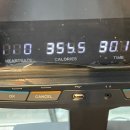 성산포수협표선복지회관목욕탕 | [제주이주 D+843~849] 가족찾는 짜장이 / 복조 길거리 캐스팅 제의받다 / 코츠커퍼 / 표선해수욕장 캠핑