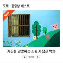 황새알로 이미지