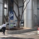 회원스크린골프 이미지