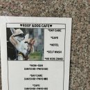 루프앤독 이미지