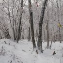 길원목장 이미지