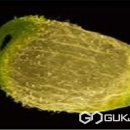 대구광역시 도시관리본부 이미지