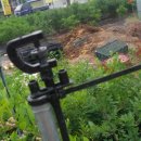 선운 농장 이미지