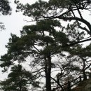 상우약국 이미지