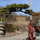 유곡면 운동장 이미지