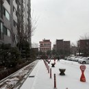 38 | 38주 후기부터 출산까지...(진오비 산부인과)