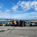 형제조류 이미지