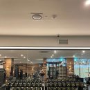 정직한 피트니스 이미지