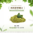 천연헤나 - 사하구 낙동대로451번길 12 | 천연헤나