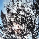 용골가든 이미지