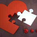 송정태권도체육관 이미지