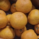 창주농장 이미지