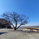 김제 심포항 횟집 거리 - 해물칼국수 이미지