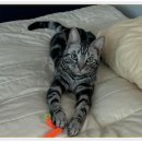 아이조아요양보호소 안양점 이미지